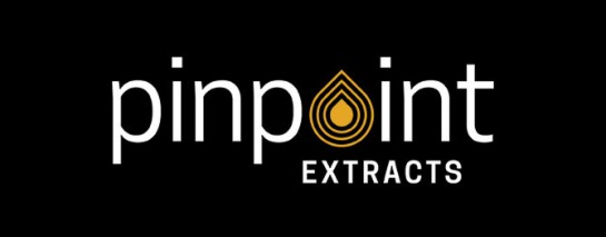 Photograph of product: PINPOINT - BIP CITY LIVE RESIN DISPOSABLE 1G HYBRID