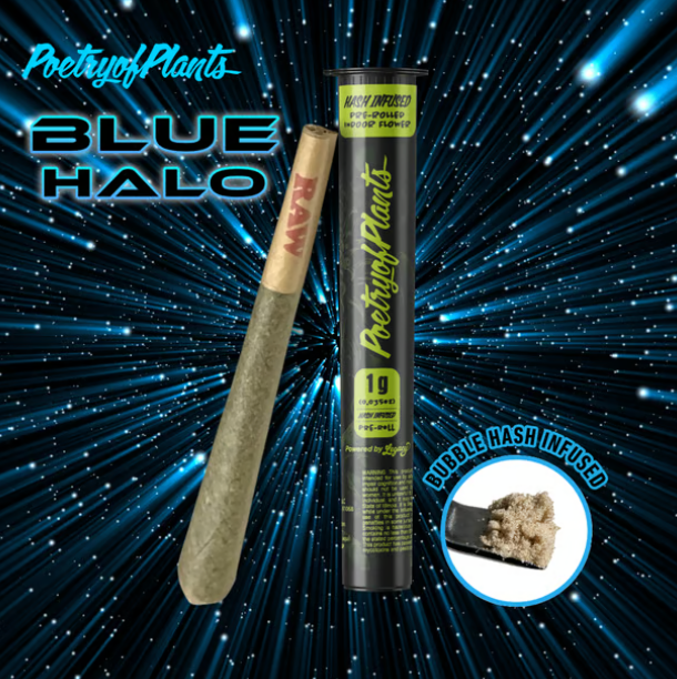 Photograph of product: Blue Halo au chocolat Infused Preroll