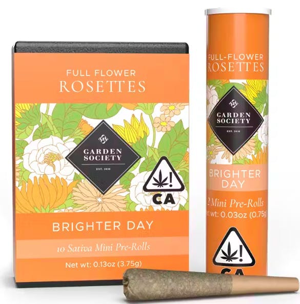 Photograph of product: Brighter Day Key Lime Jack 10pk - 