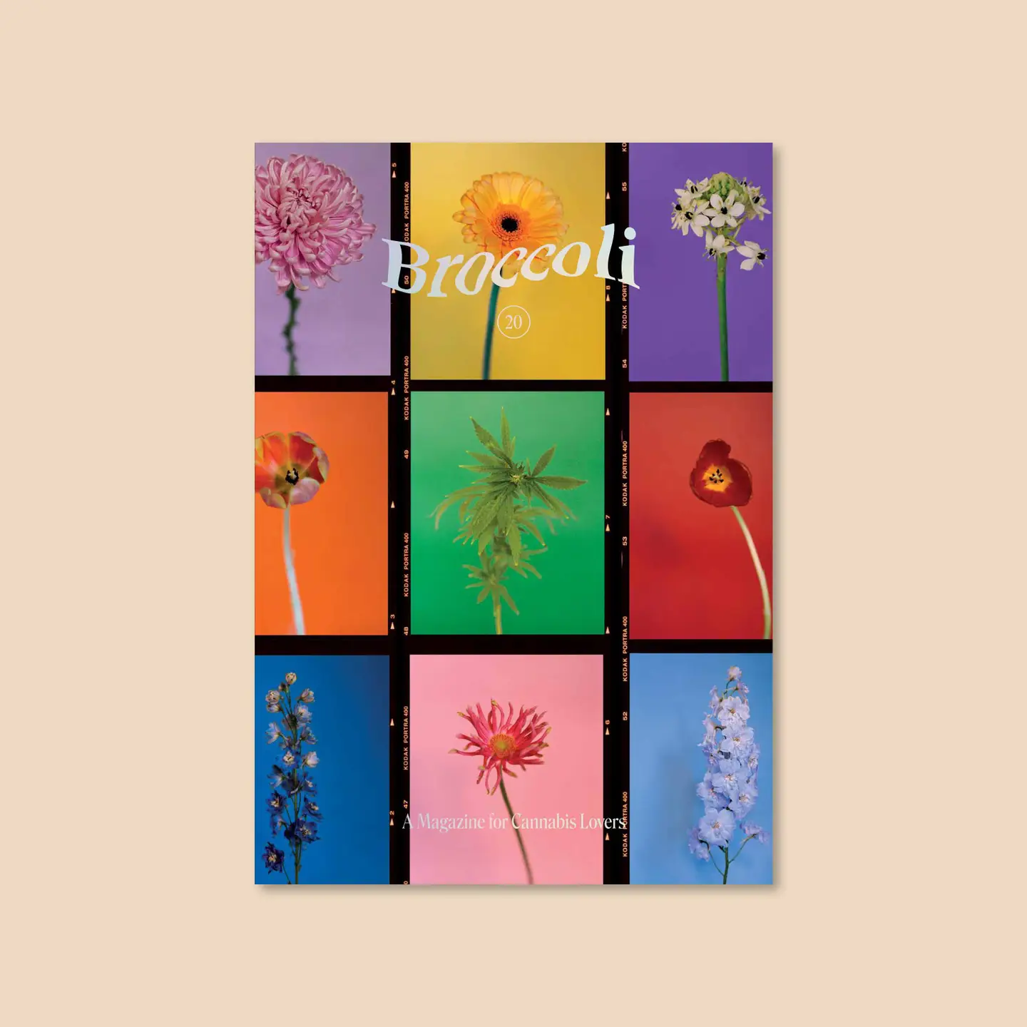 Photograph of product: Broccoli Magazine Issue 20