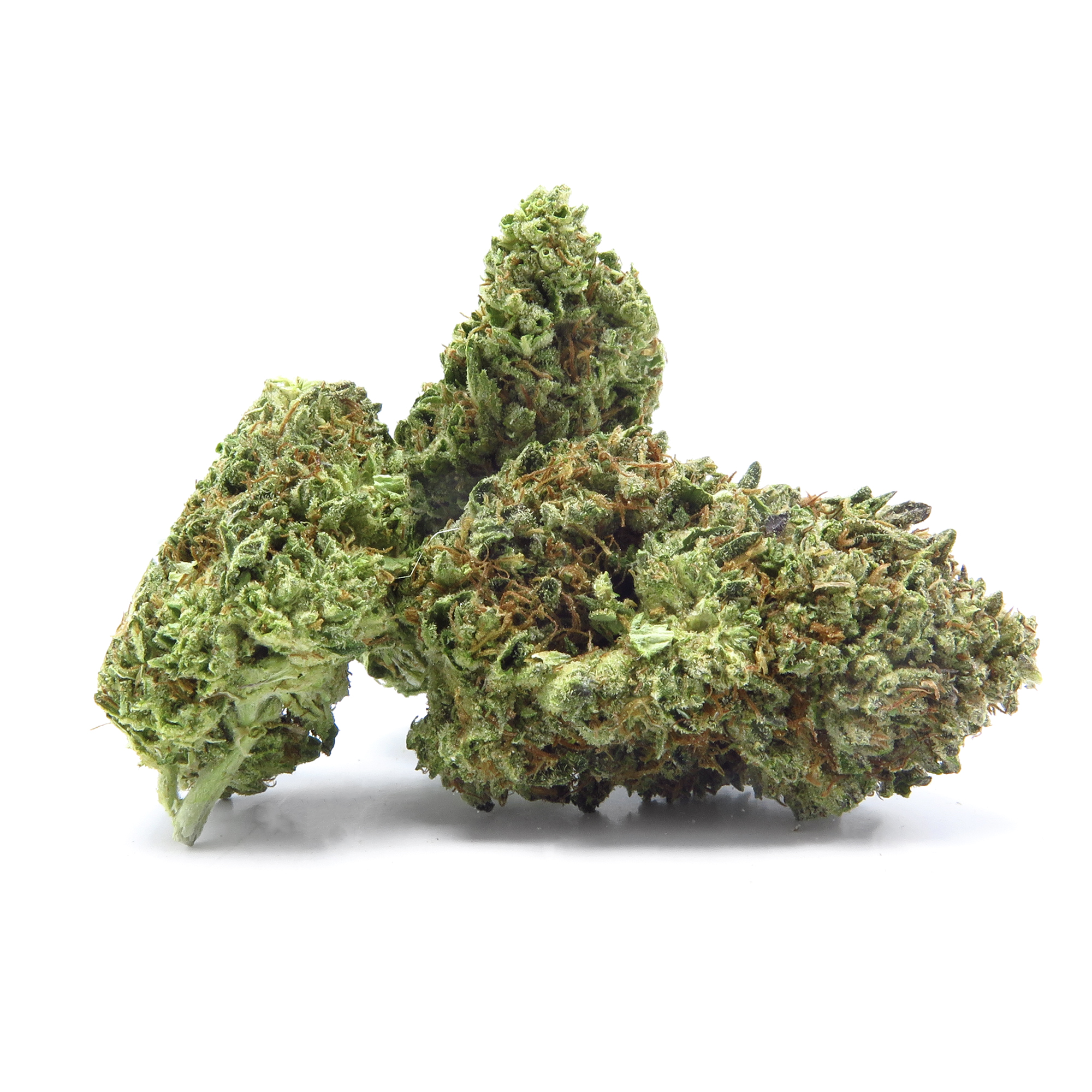 Photograph of product: GARLIC GAZILLIONAIRE - POPCORN - 1/2OZ