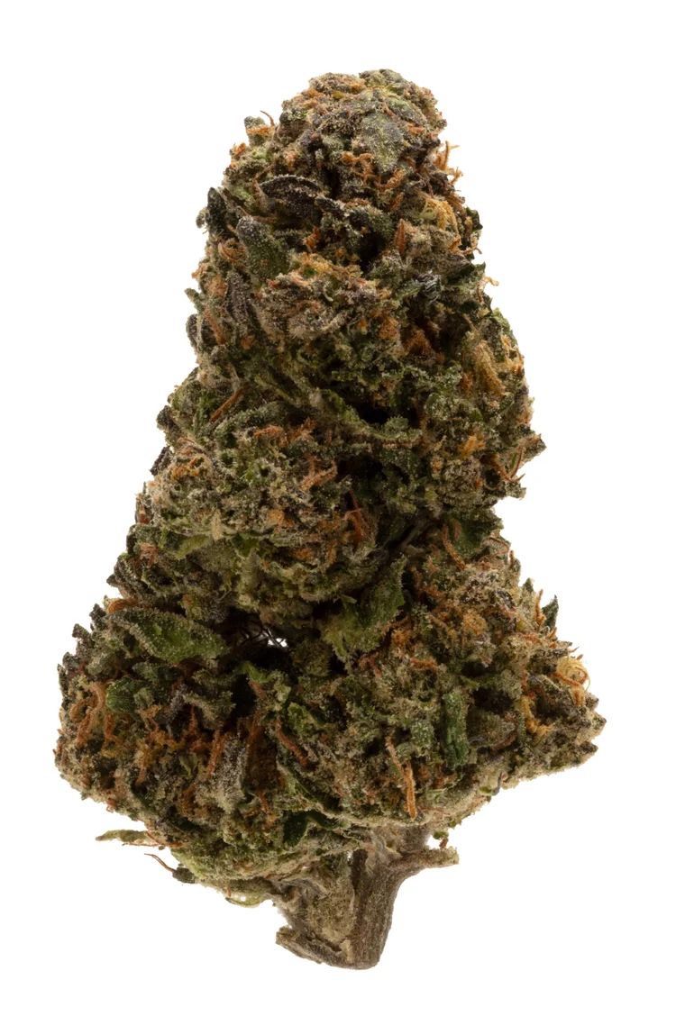 Photograph of product: ROLLING GREEN | JAR FLOWER | BLACK GRAPE - 3.5g