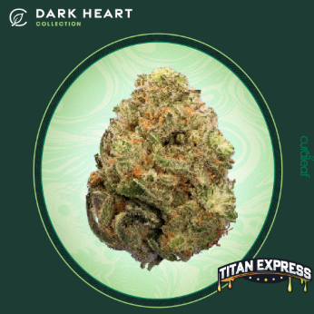 Photograph of product: Grassroots Dark Heart Collection Whole Flower Titan Express (S) TC 34.87% 00989 (AU) - 3.5g