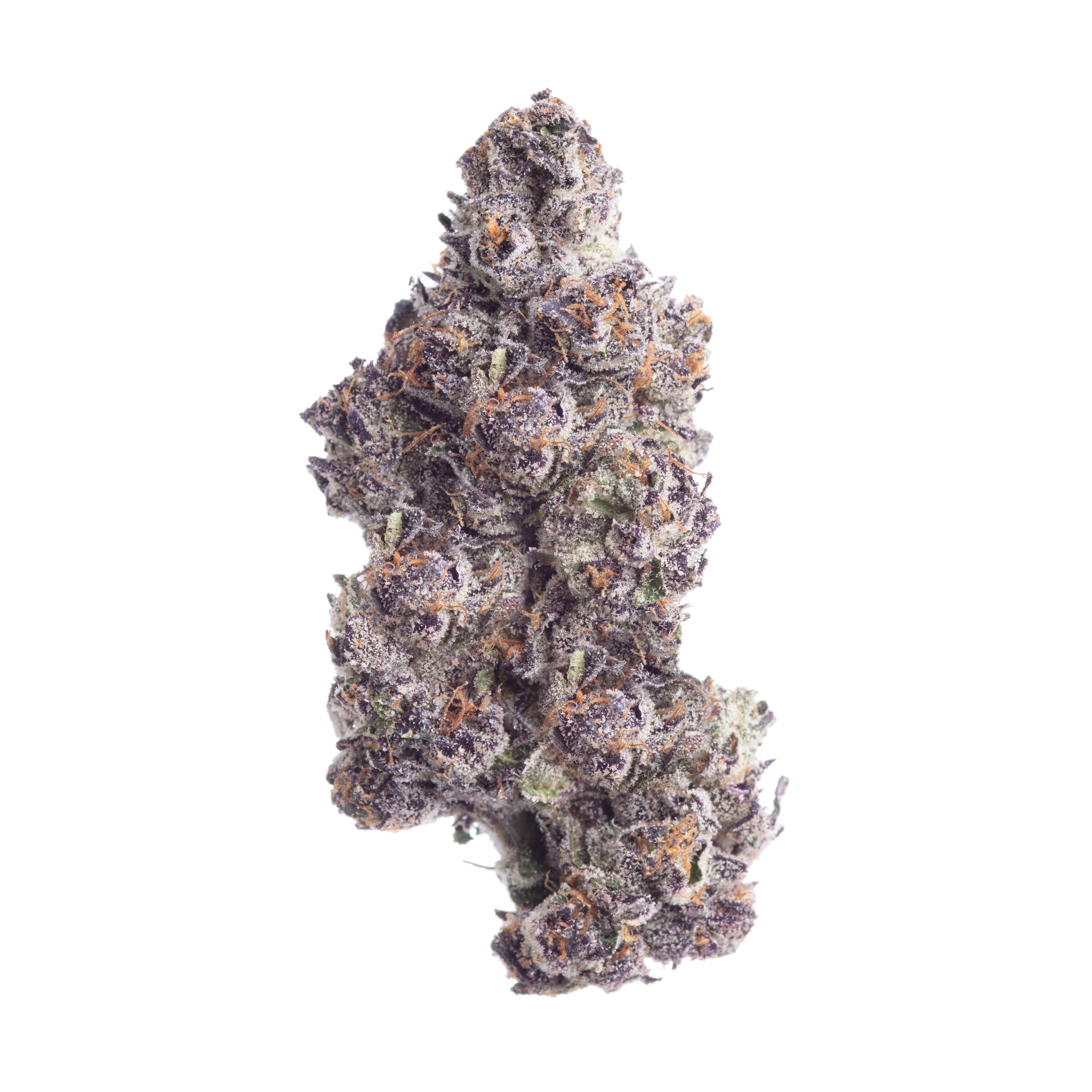 Photograph of product: Sherb Cream Pie | Maine Trees - 3.5g