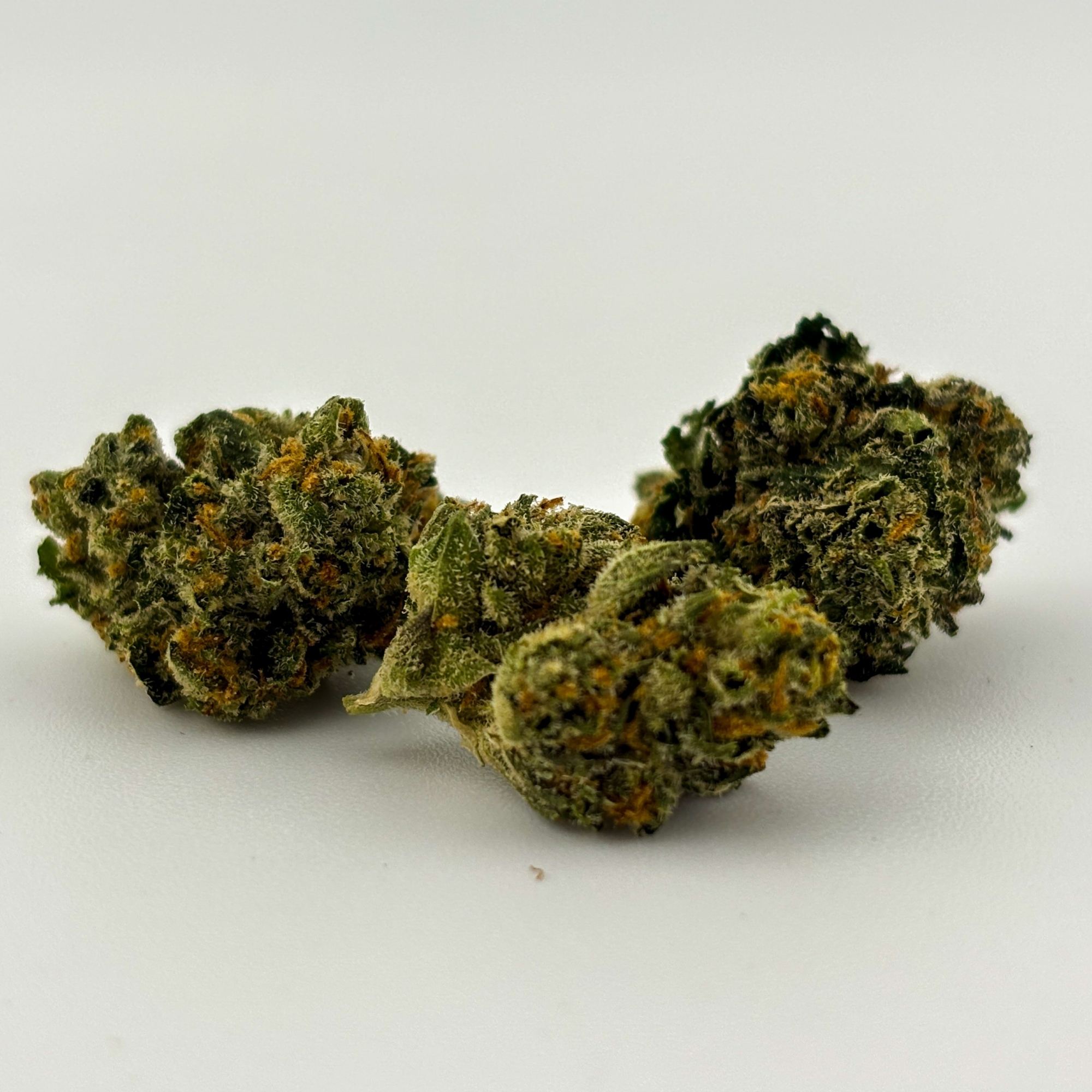 Photograph of product: Trichome Farms | Flower (B-Buds) [I] | Master Kush