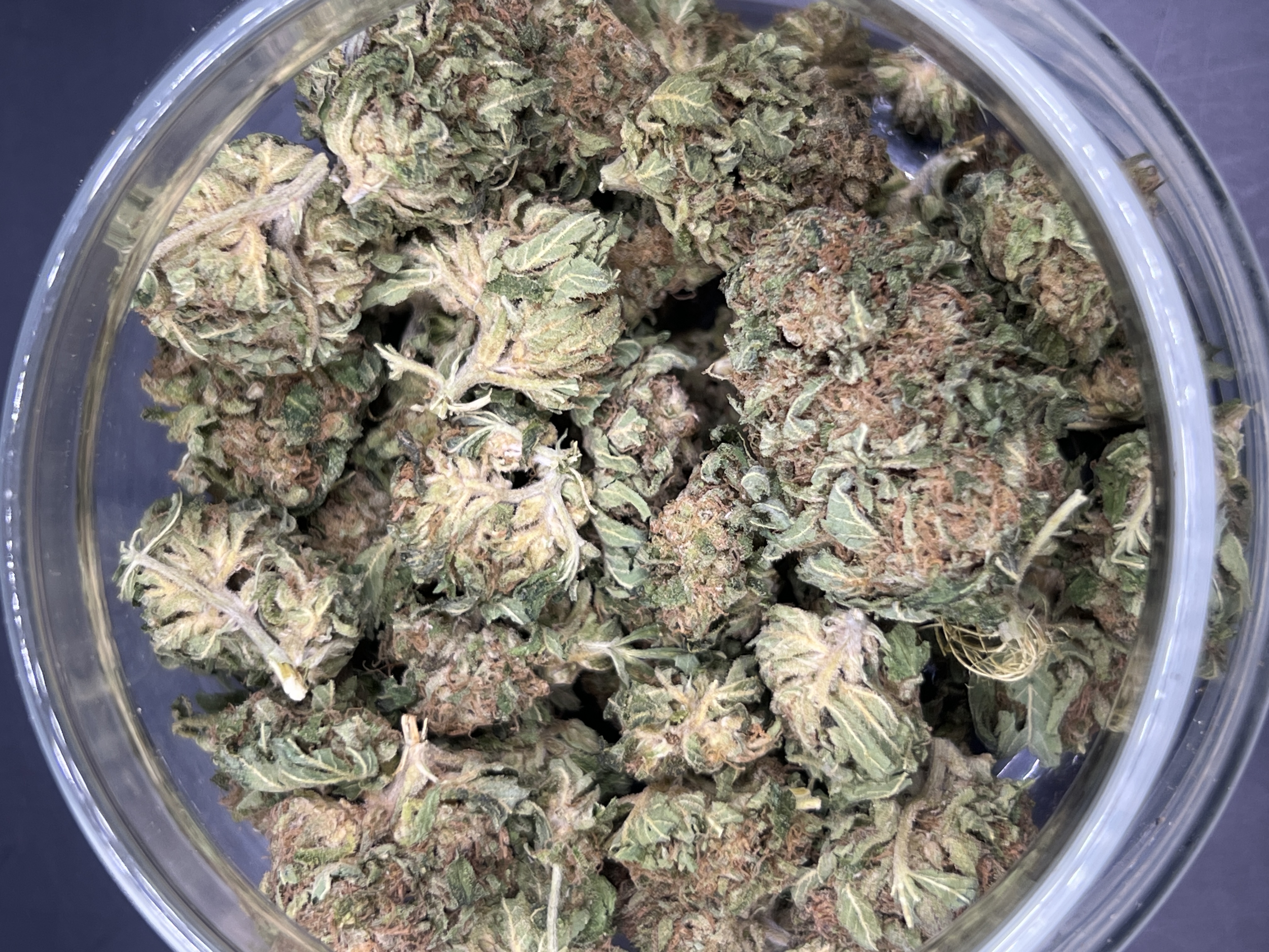 Photograph of product: Zlurpee (Big League Farms) 20.88% - 28g