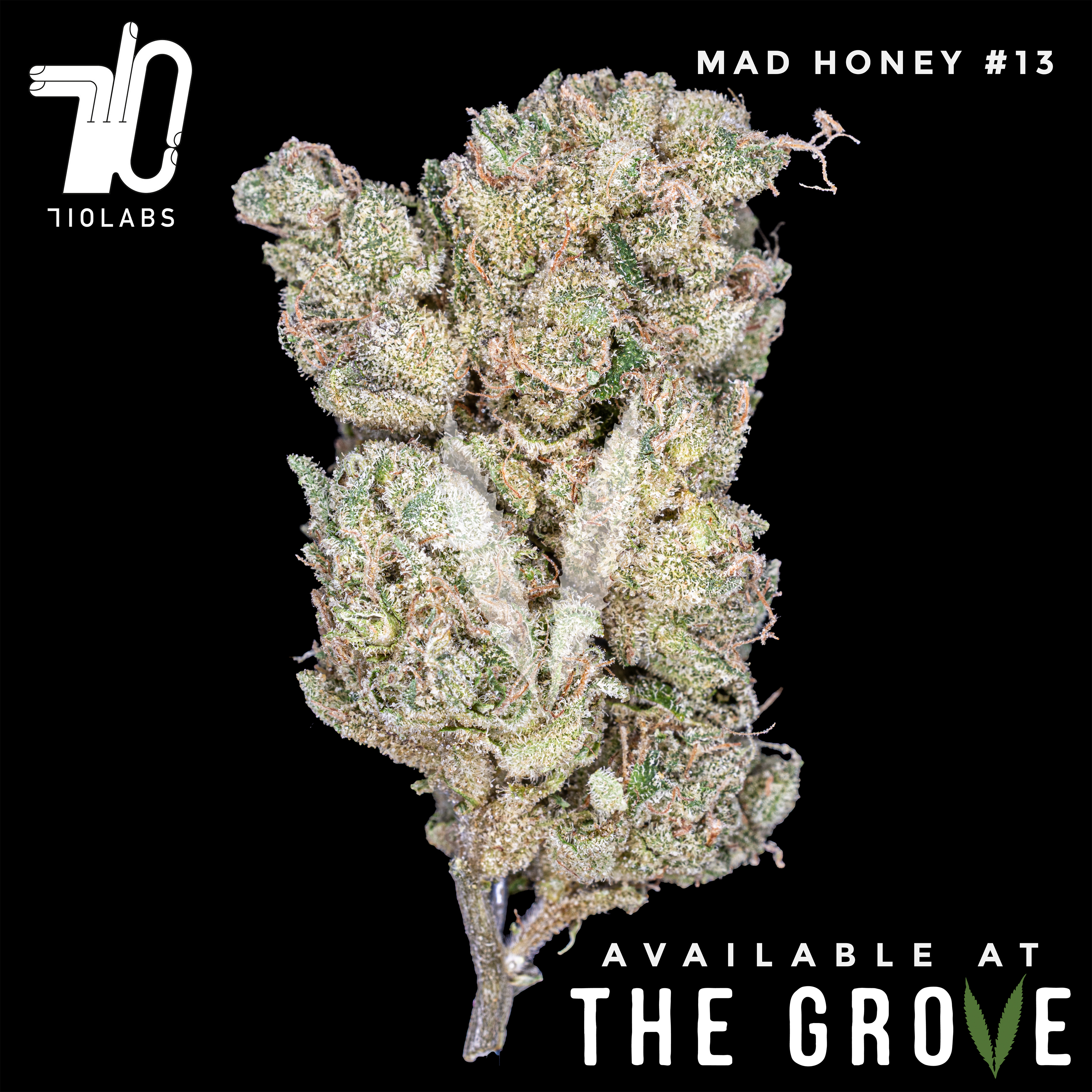 Photograph of product: 710 Labs | Mad Honey #13 1/8th - 3.5g