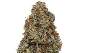 Photograph of product: High Life | Stankonya | Bulk Flower - 28g