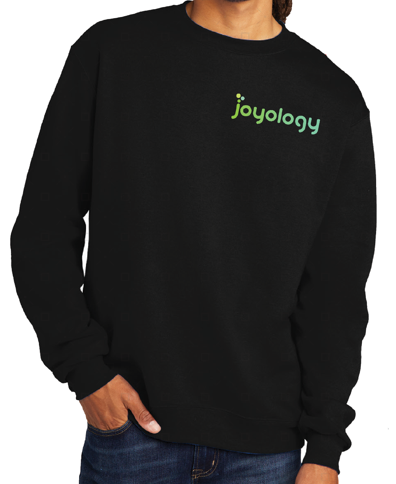 Photograph of product: Joyology Champion Crew Neck Sweat Shirt (S)