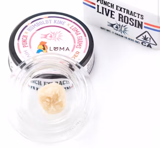 Photograph of product: T1 | HIVE BURGER ROSIN BADDER | 1G