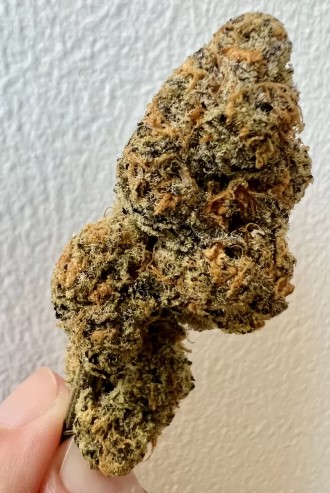 Photograph of product: Sherb x Fumez #10 | 3.5g | 710 Labs