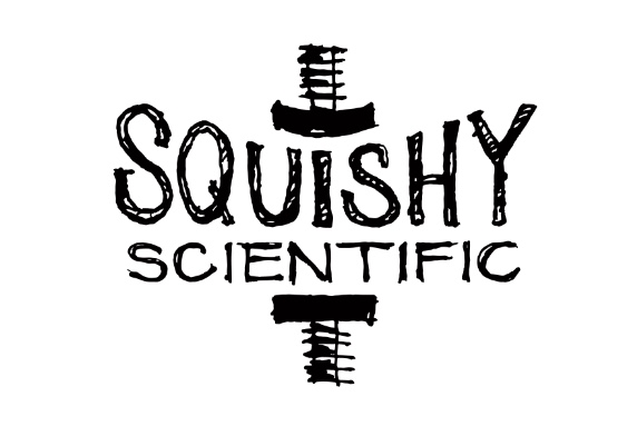 Photograph of product: Squishy Scientific - Ice Water au chocolat - Strawberry Watermelon