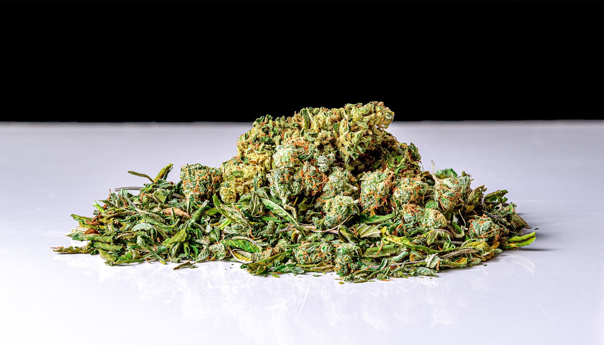 Photograph of product: Grown Rogue | MIMOSA - 7g