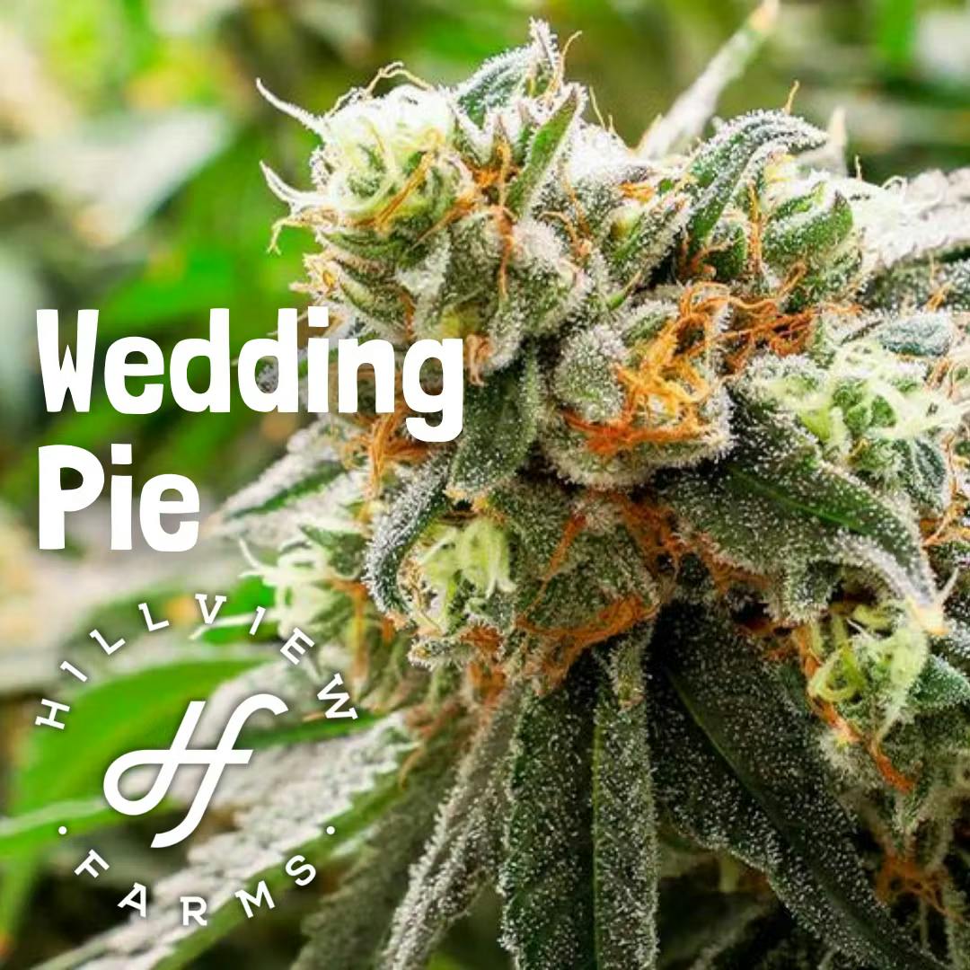 Photograph of product: Wedding Pie - 3.5g