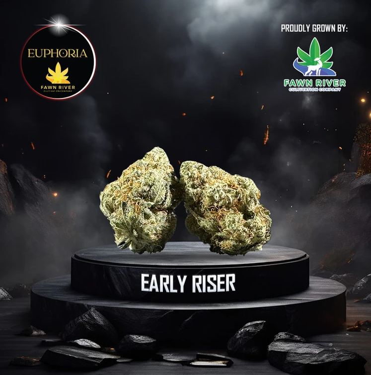 Photograph of Product: Early Riser - 28g