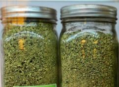 Photograph of product: Kush Mints - 28g