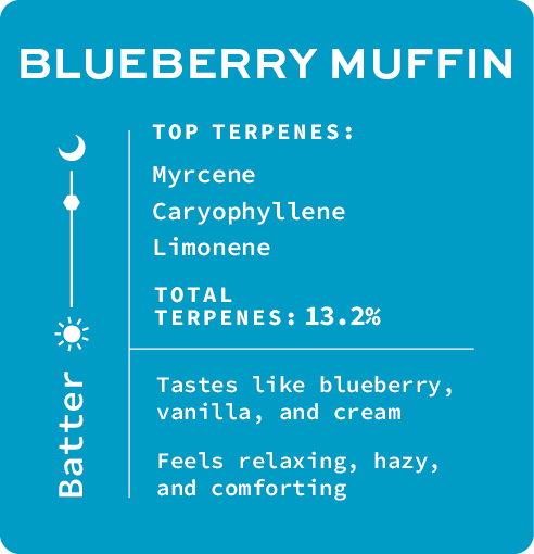 Photograph of product: Blueberry Muffin Cartridge | 1g
