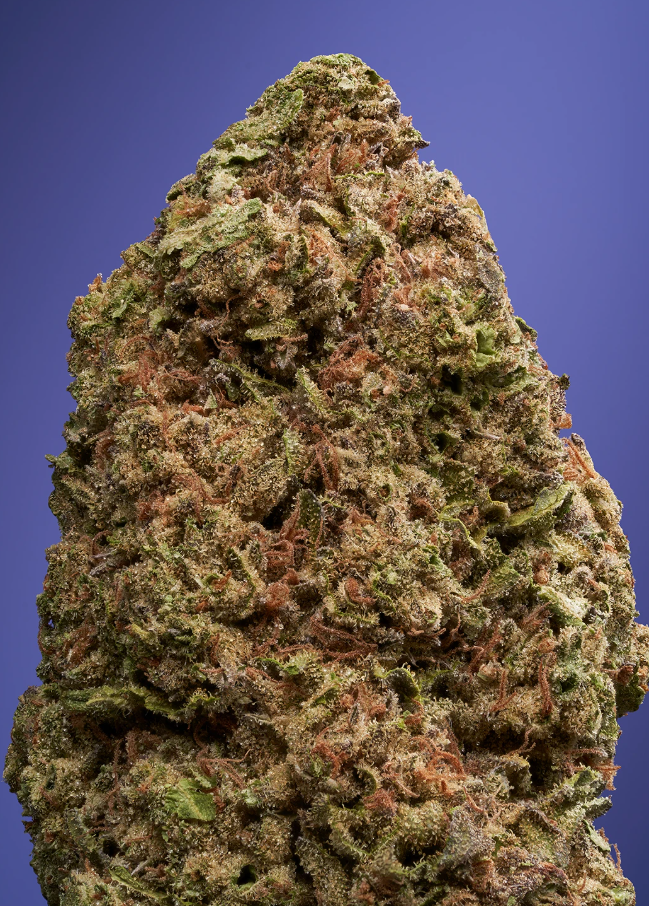 Photograph of product: Blue Raz Flower - 3.5g
