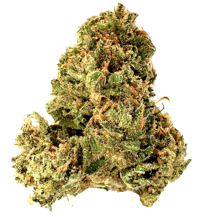 Photograph of product: Bear River Farms | Jack Herer | 3.5G
