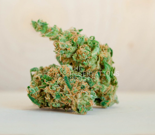 Photograph of product: House Of Sacci | Biohazard | Pre-Roll Pack | 0.5g X 7