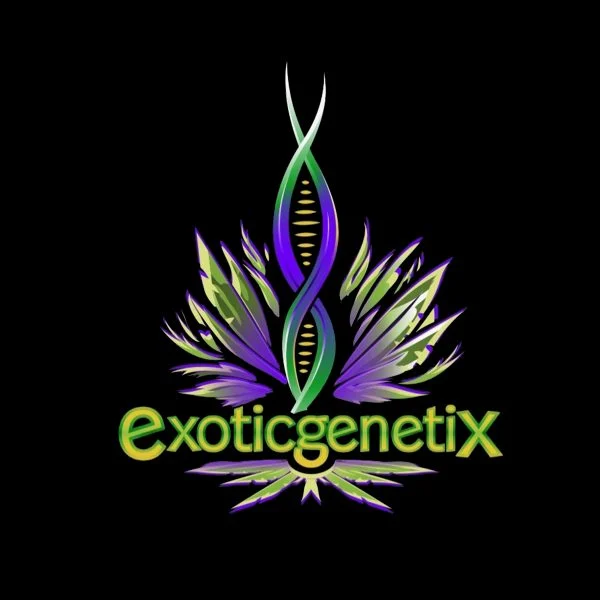 Photograph of product: Exotic Genetix | Strawneapple Infused Pre-Roll