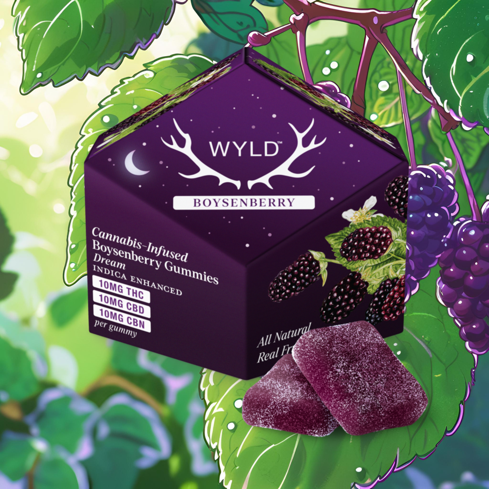 Photograph of product: Gummies | Boysenberry | 1:1:1 CBD:CBN | 10pk