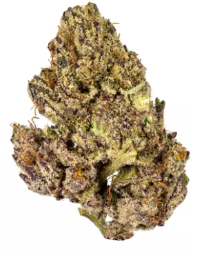 Photograph of product: AMA | Truffle Skunk 7g