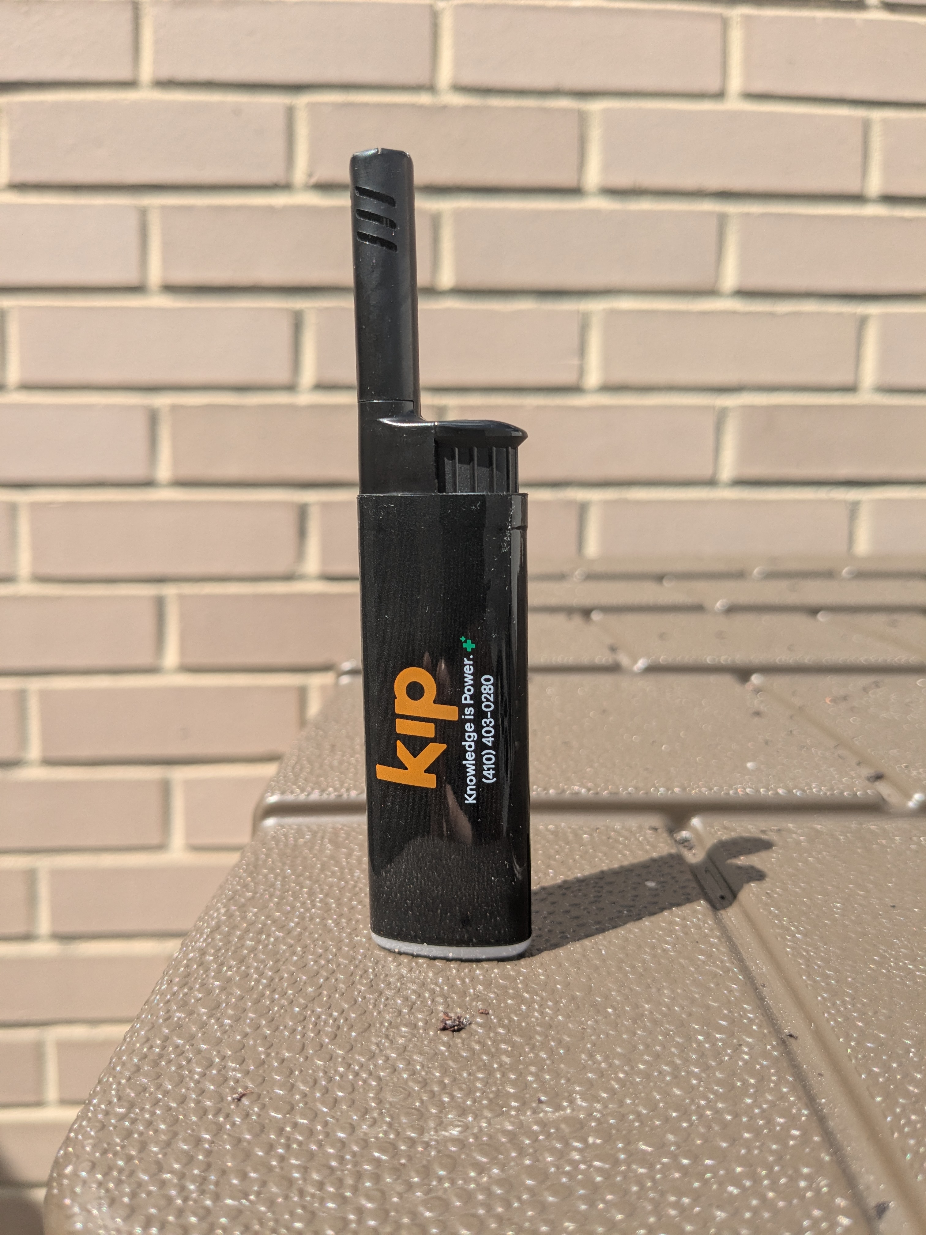 Photograph of product: Lighter | Kip Branded | EZ Reach | Bic