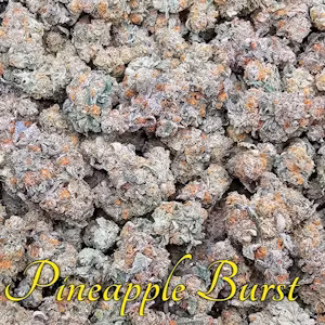 Photograph of product: Pineapple Burst Bud - 7g