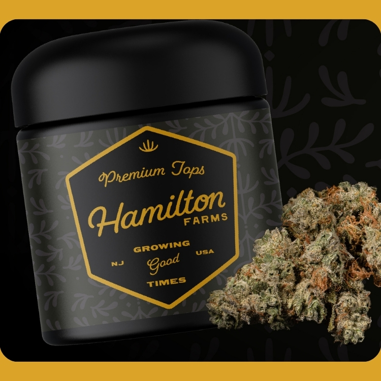 Photograph of product: Flower | Top Colas | Garlic Knots | 3.5g