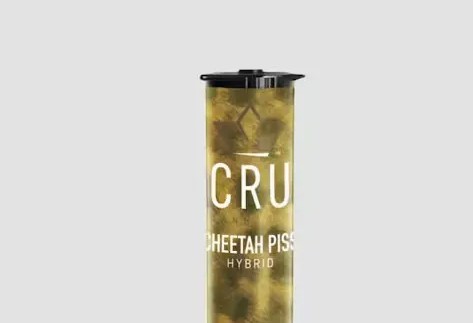 Photograph of product: CRU | Cheetah Piss | Infused Pre-roll