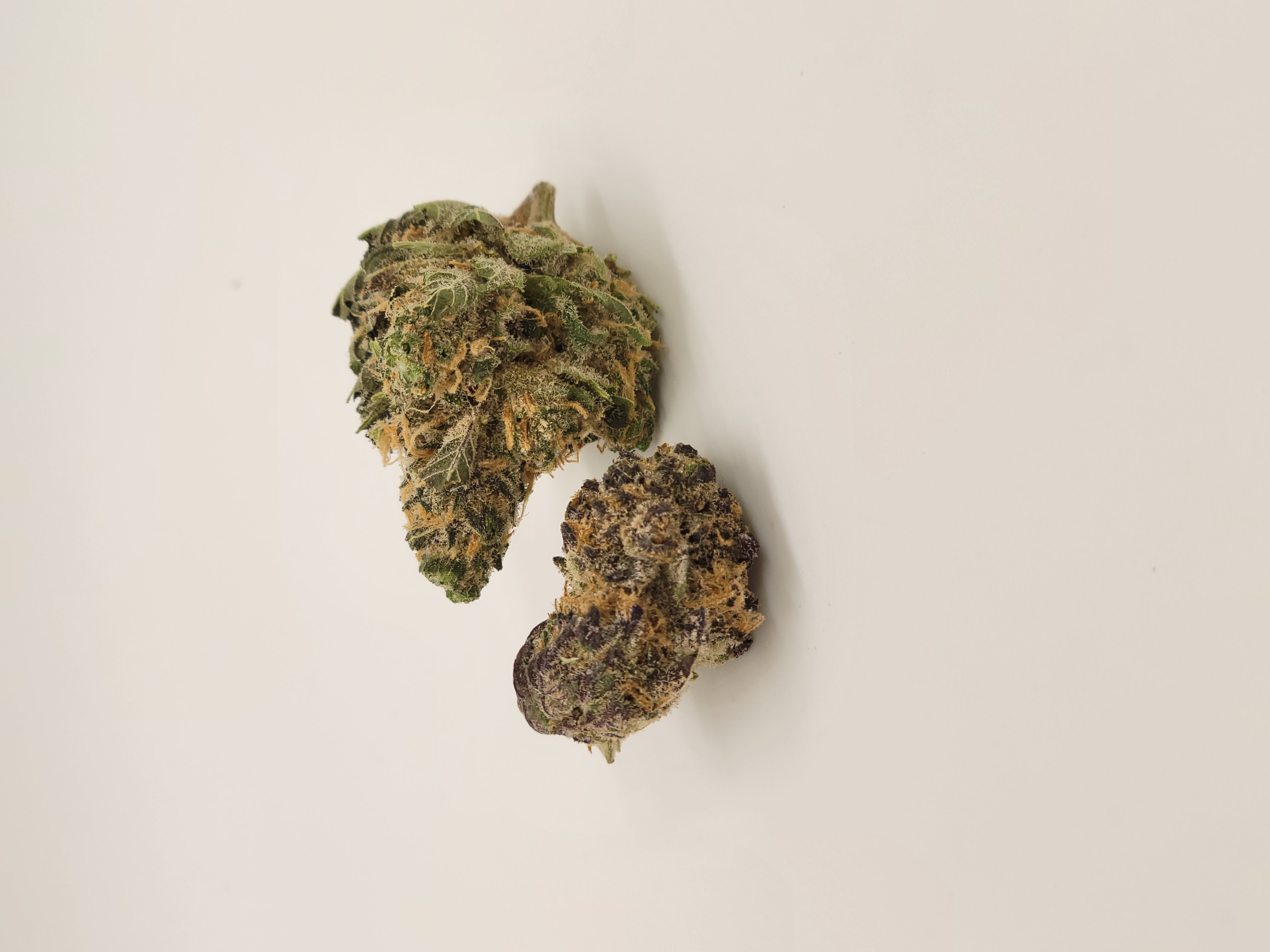 Photograph of product: GRAPEFRUIT 1 GRAM