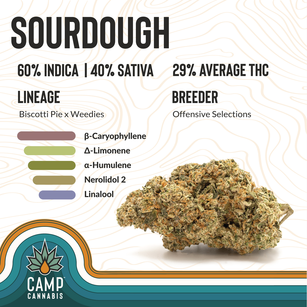 Photograph of product: CAMP - Sourdough - 3.5g