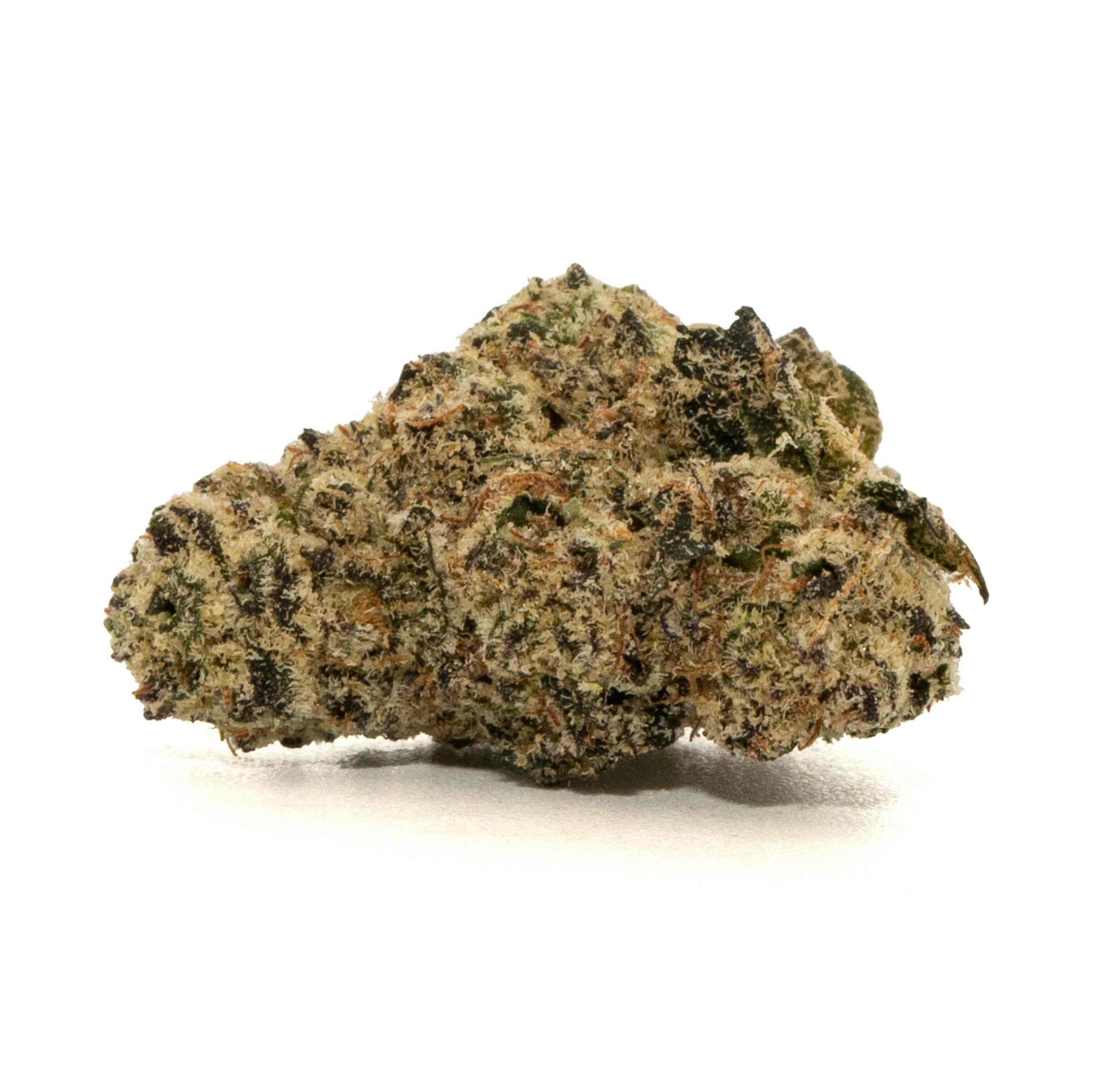 Photograph of product: BLOCK PARTY [14G]