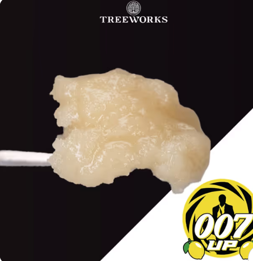 Photograph of product: 007 Up - Live Jam - Treeworks