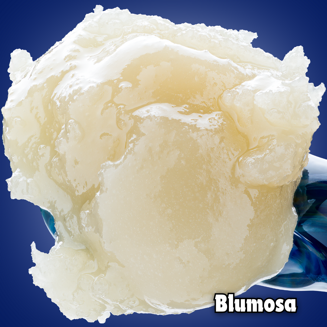 Photograph of product: Blumosa - Live Rosin