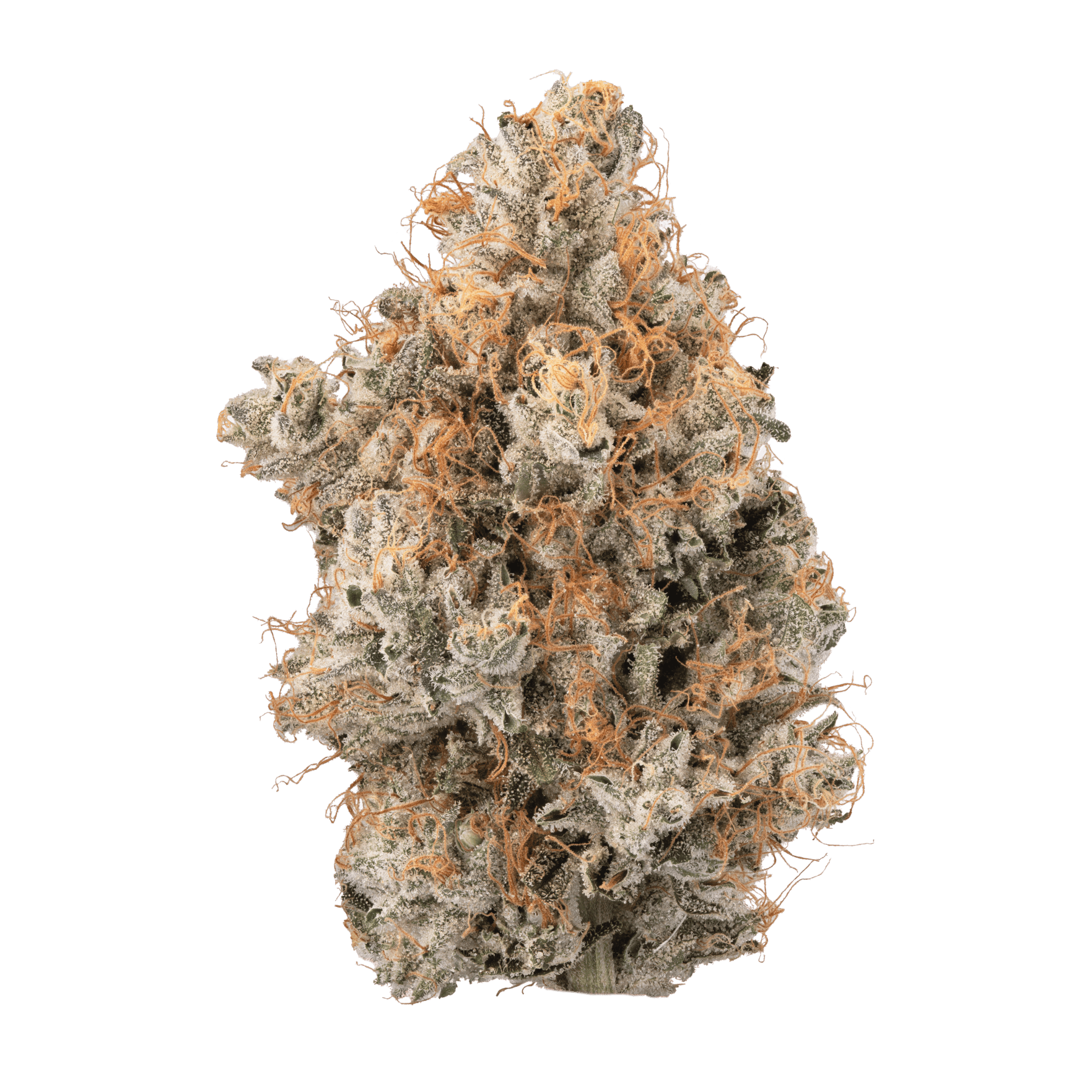 Photograph of product: Confiscated Chem | Flower | 3.5g | by Bostica