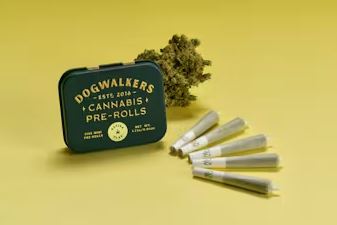 Photograph of product: Dogwalkers: White Durban (Play) | Pre-Roll 5pk
