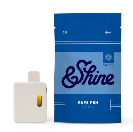 Photograph of product: Skywalker - Disposable Vape - 2g