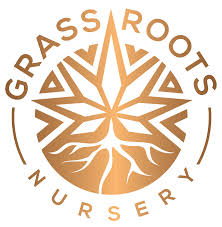 Photograph of product: Grass Roots Nursery Grease Monkey AIO 2g