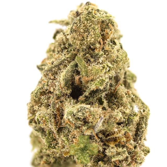 Photograph of product: Pixie Dust, SG - 