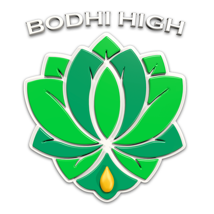 Photograph of product: (BODHI) Pure Disposable *LR* 1g Cookies & Chem (I)