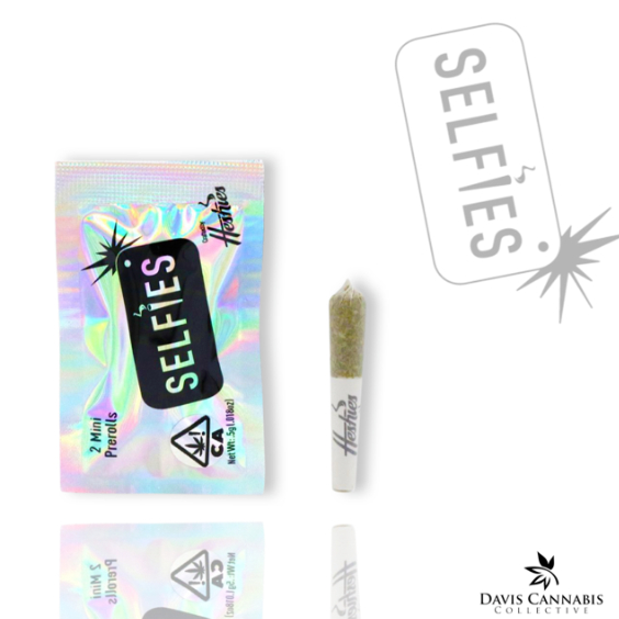 Photograph of product: GELATO CRUNCH INFUSES 2 PACK PREROLL