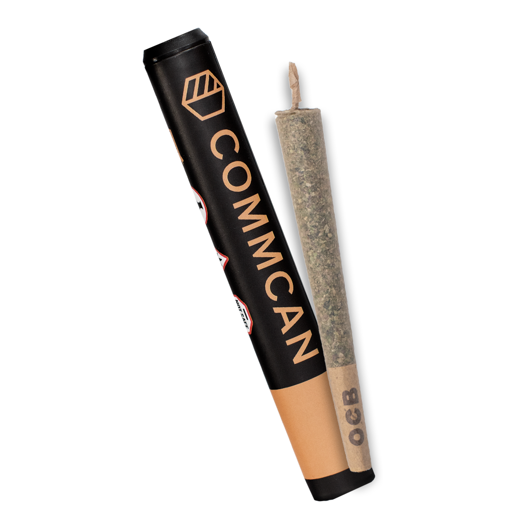 Photograph of product: Lava Dawg Pre-Roll | 1g