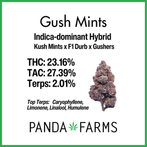 Photograph of product: Gush Mints | Panda Farms 3.5g Flower