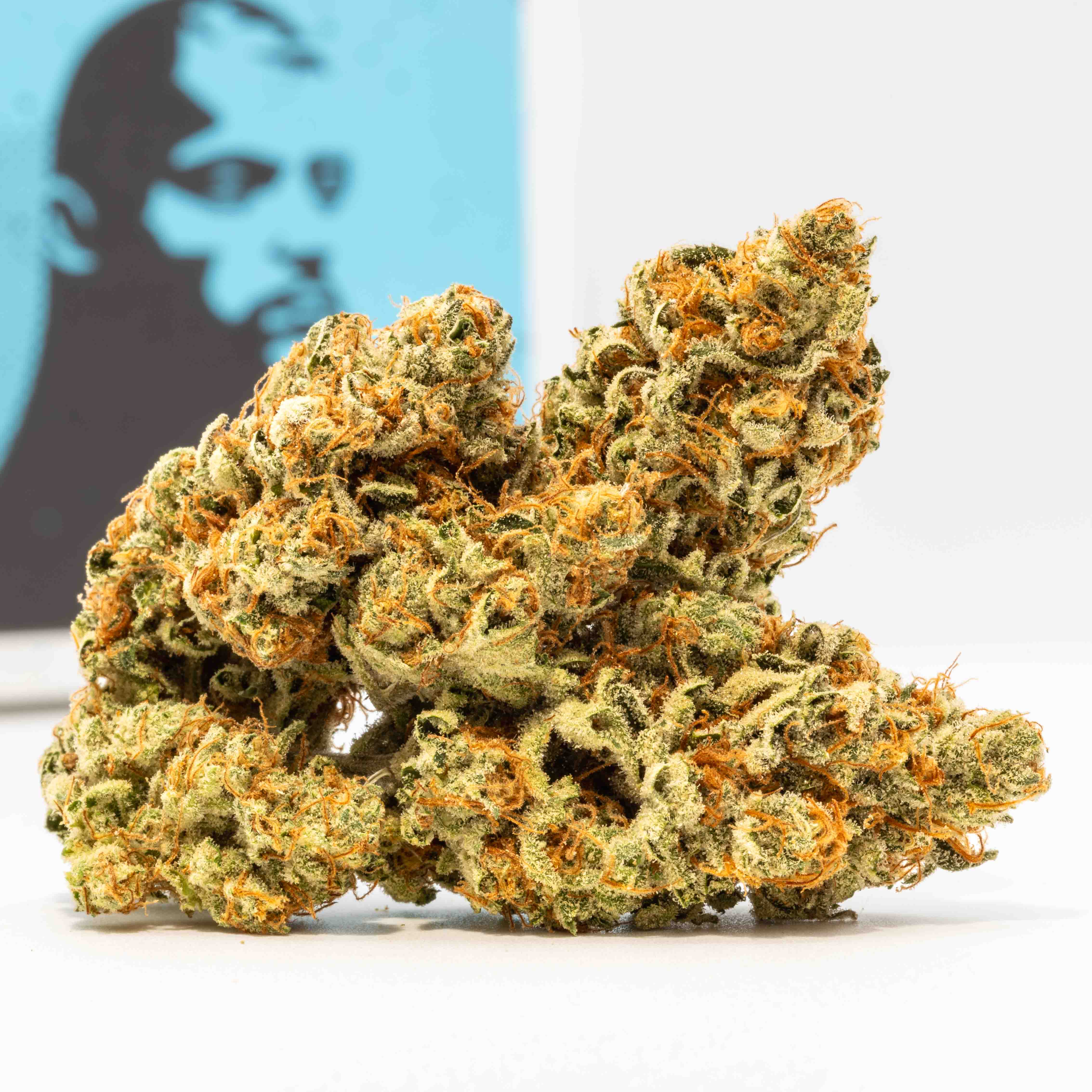 Photograph of product: Tangerine (3.5g Flower)