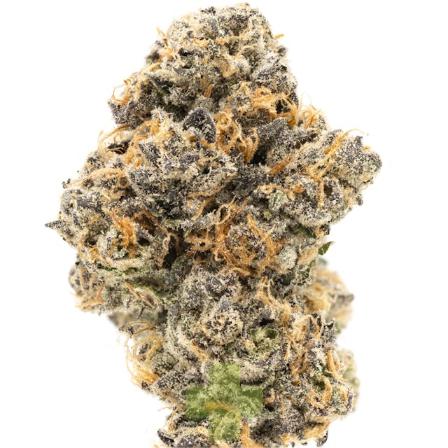 Photograph of Product: Red Eye - Eighth