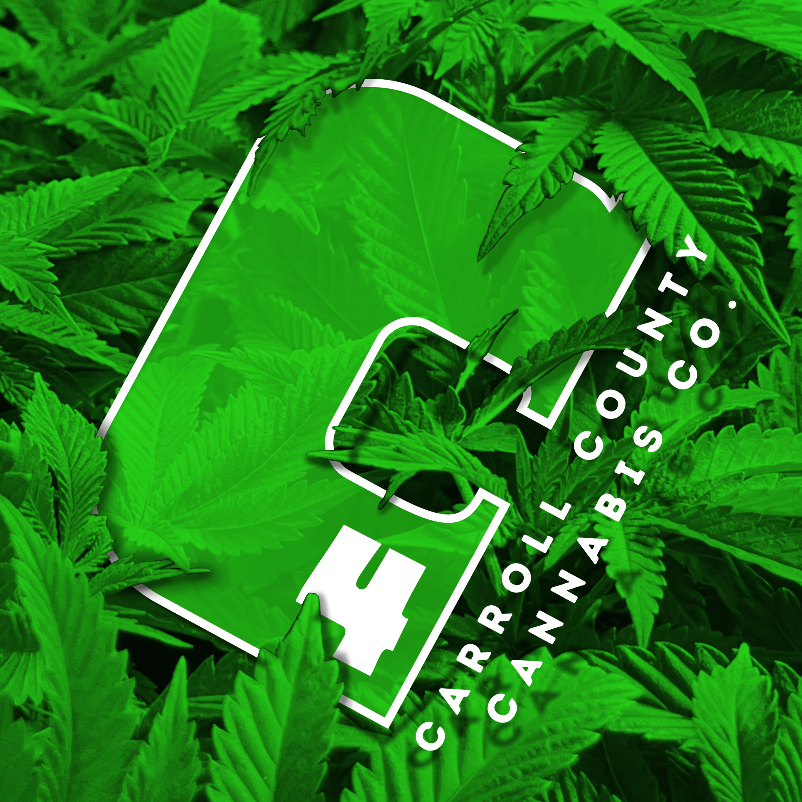 Logo for img-fluid: C4 (Carroll County Cannabis Co.)