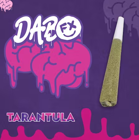 Photograph of product: Melon Haze Tarantula Infused Preroll (1g)