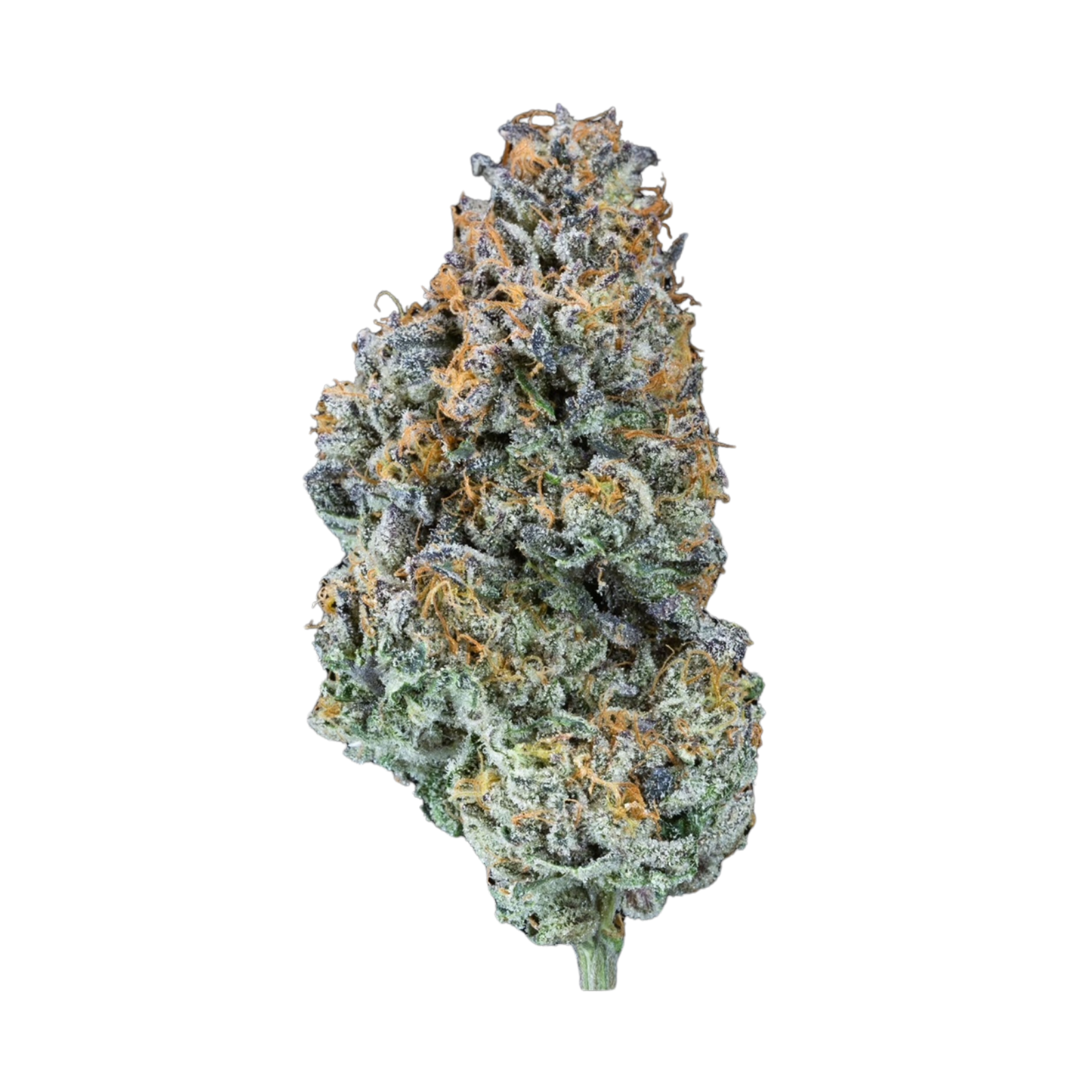 Photograph of product: Chamoy | Cape Cod Grow Lab - 7g